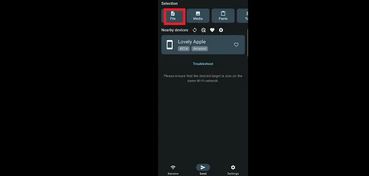 downloader-alternatives-localsend-16