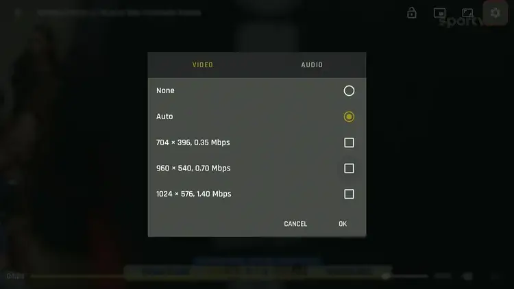 use-gee-sports-on-firestick-3